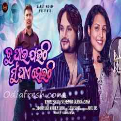 Tu Thau Jauthi Mu Thae Seithi